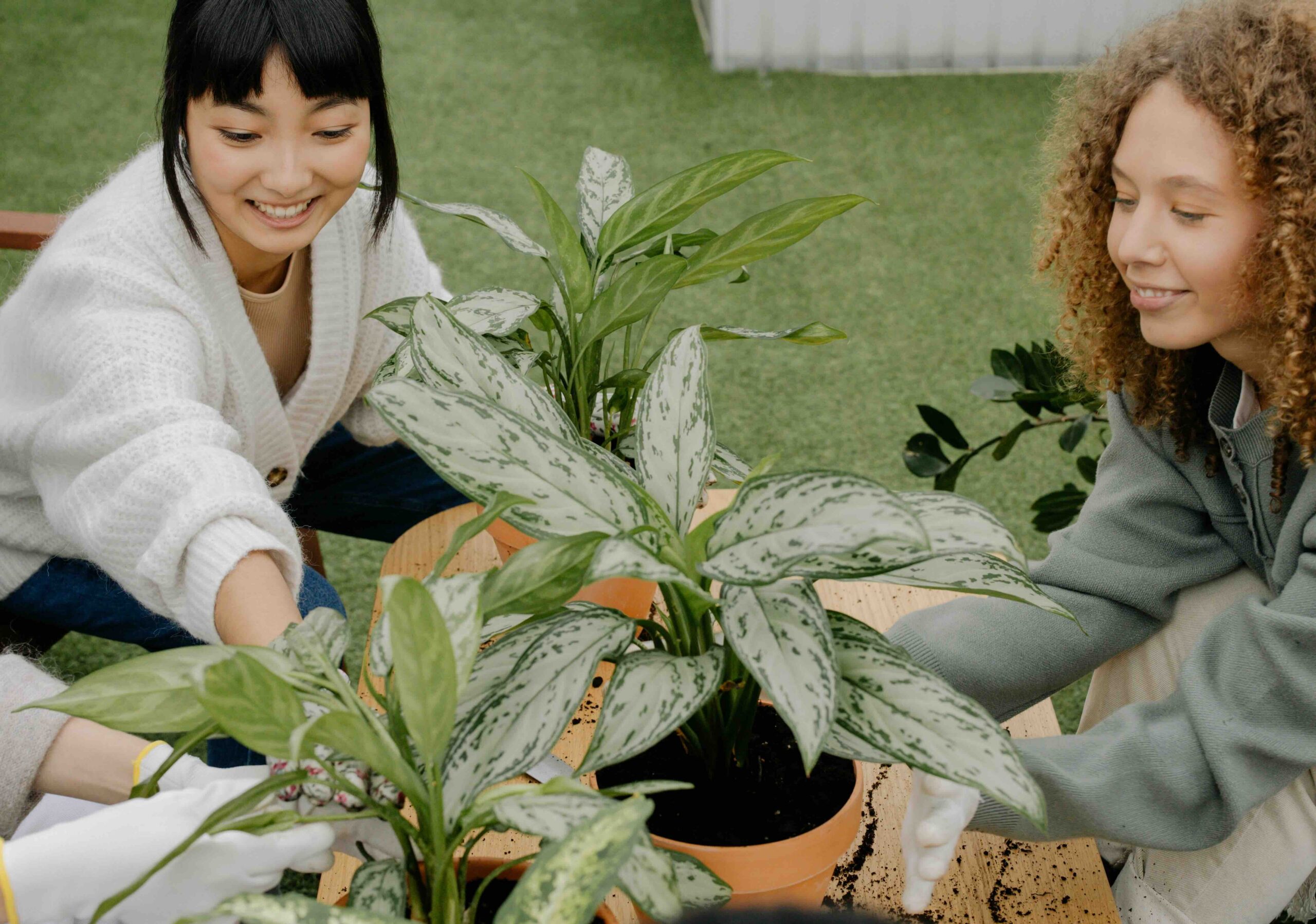 Small Gardens, Big Lifestyle: Beautiful Garden Ideas for Every Home